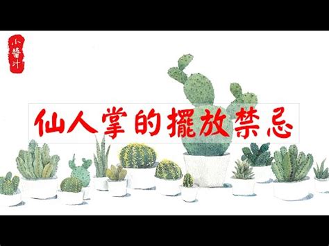 辦公室 仙人掌|辦公室仙人掌照護攻略：打造綠意盎然的辦公環境 